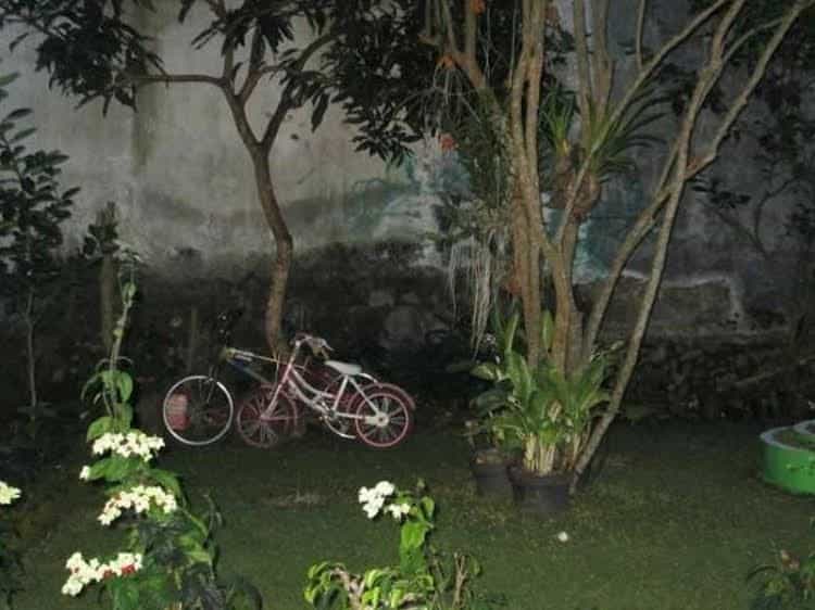 Bumi Langgeng Guesthouse Bumi Langgeng Guesthouse