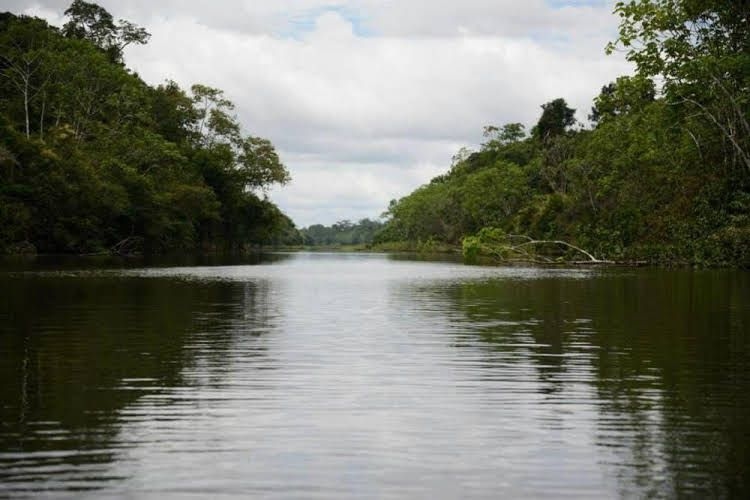 Chullachaqui Eco Lodge0