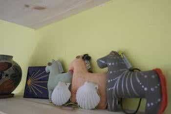 Blue Pony Guesthouse Blue Pony Guesthouse