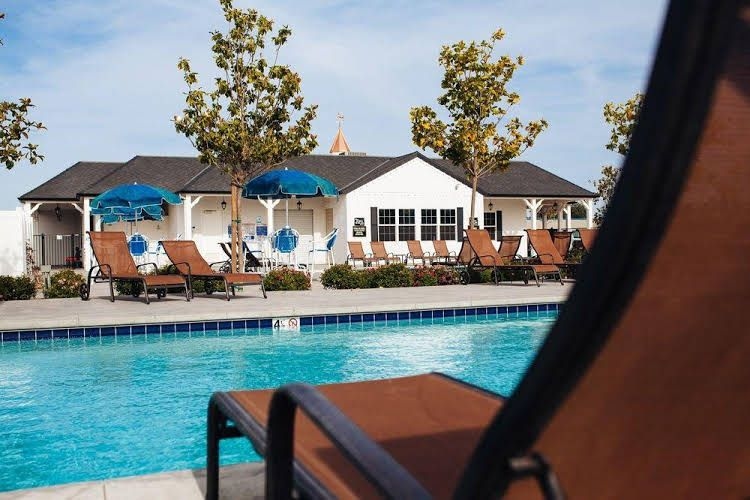 Vines RV Resort3