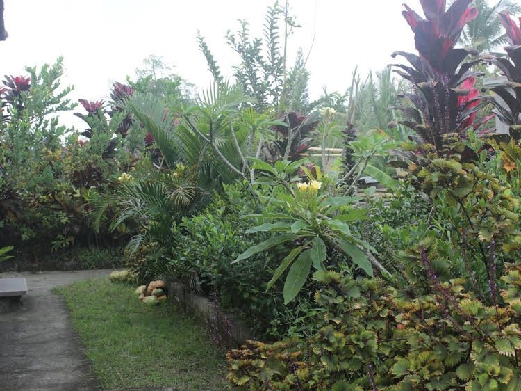 Pondok Sundari0