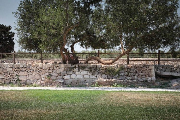 Masseria Prosperi2