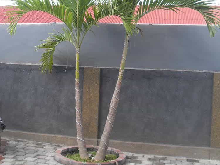 Gendis Hotel and Guest House Gendis Hotel and Guest House