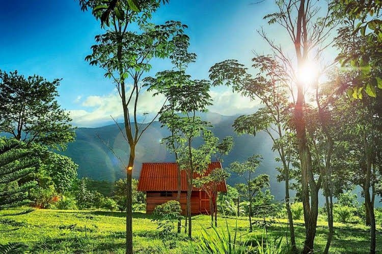 HuasaiWasi Ecolodge2