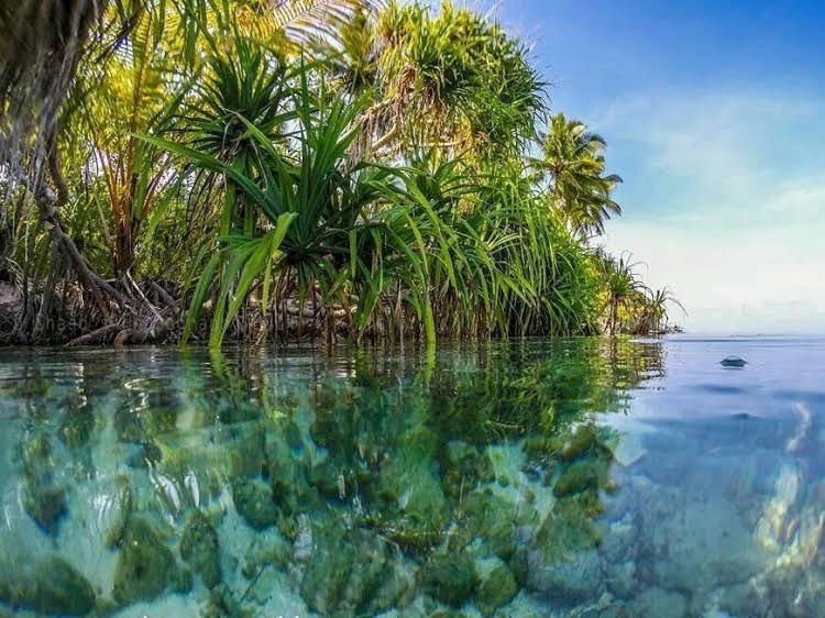 Himandhoo Inn4