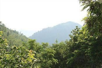 B&B La Brombolona3