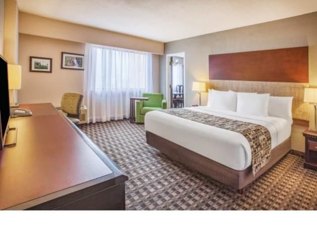 SINGLE KING SIZE BED