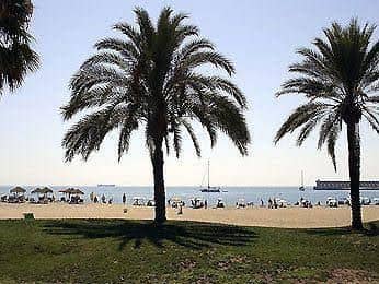 Hilton Garden Inn Malaga Hilton Garden Inn Malaga