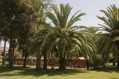 Ola Aparthotel Cecilia - All Inclusive