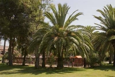 Ola Aparthotel Cecilia - All Inclusive Ola Aparthotel Cecilia - All Inclusive
