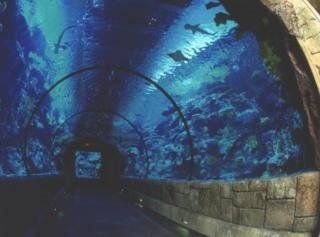 Mandalay Bay Hotel & Casino3