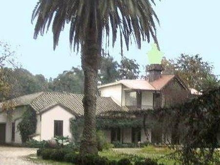 El Magnolio Bed and Breakfast2