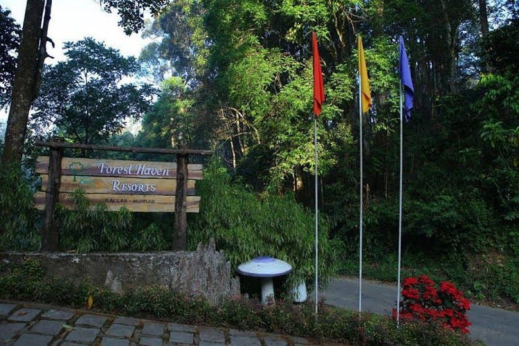 Forest Haven Resort4