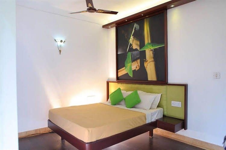 Forest Haven Resort2
