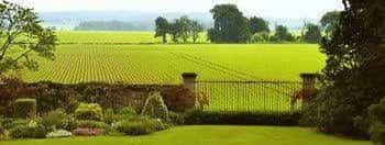 Les Herbes Folles