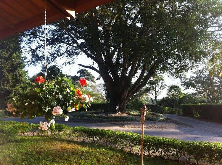 Hotel Villa Florencia4