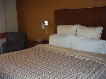 MainStay Suites4