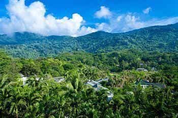 Litchi Garden Rainforest Hot Spring Resort Litchi Garden Rainforest Hot Spring Resort