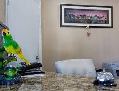 Knights Inn North Miami3