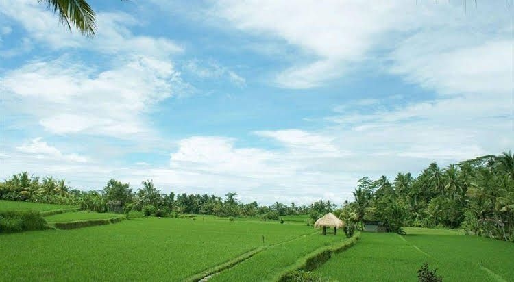 Kenanga Boutique Hotel0