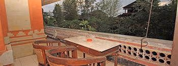 Citrus Tree B&B - Pering1