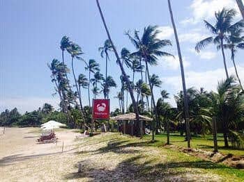 Patachocas Beach Resort Patachocas Beach Resort