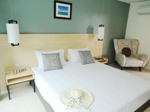 Standard Double Room with Pool access