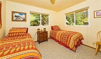 Cymbidium Cottage4