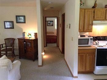 Cymbidium Cottage0