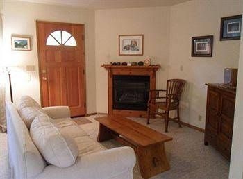 Cymbidium Cottage1