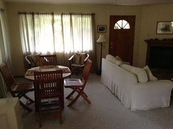 Cymbidium Cottage2