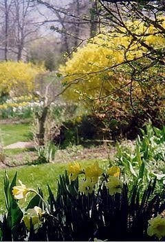 Le Papillon Bed & Breakfast3
