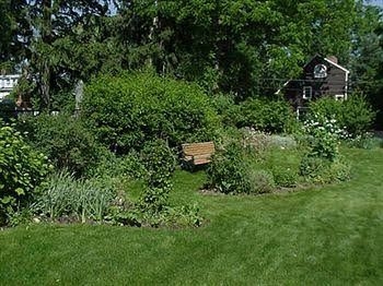 Le Papillon Bed & Breakfast4