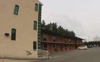 Turf Motel