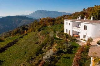 La Oveja Verde0