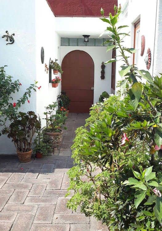 Corazoncito Coyoacan Uno Corazoncito Coyoacan Uno