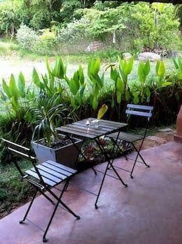 Baan Dinlamun0