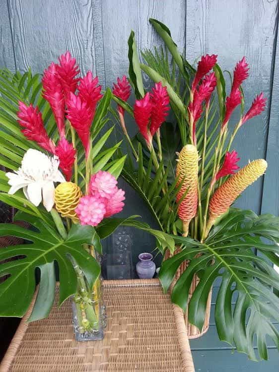Hana Oceanfront Cottages