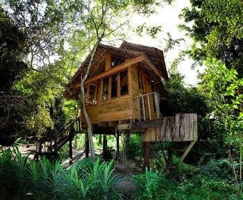 Rabeang Pasak Treehouse Resort0