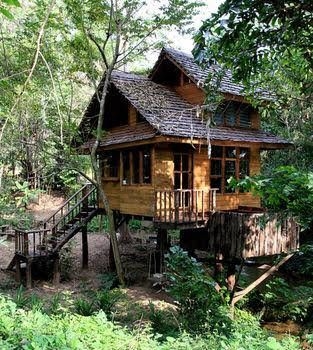 Rabeang Pasak Treehouse Resort4