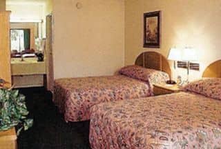 Rodeway Inn Maingate Rodeway Inn Maingate