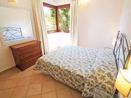 Carlo - INH 288380