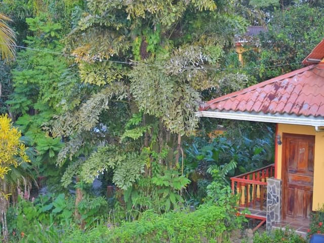 BUNGALOW STANDARD