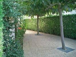 Les Amandiers - INH 31626 Les Amandiers - INH 31626