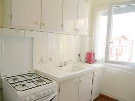 Tingitana - INH 31200 Tingitana - INH 31200
