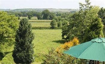 Primrose Cottage4