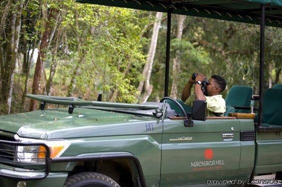 Machaca Hill Lodge2