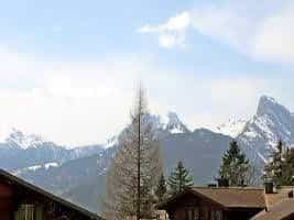Saanen Saanen