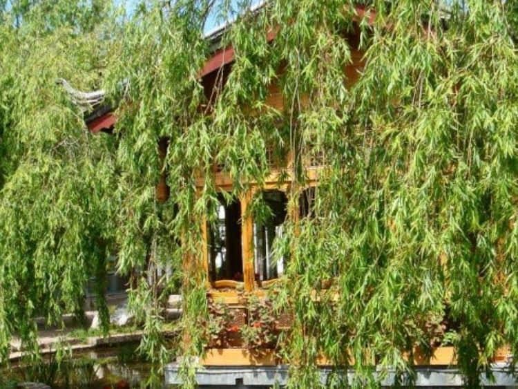 LIJIANG MY HOME BOUTIQUE HOTEL LIJIANG MY HOME BOUTIQUE HOTEL