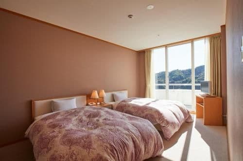 Deluxe Twin Room - Non-Smoking